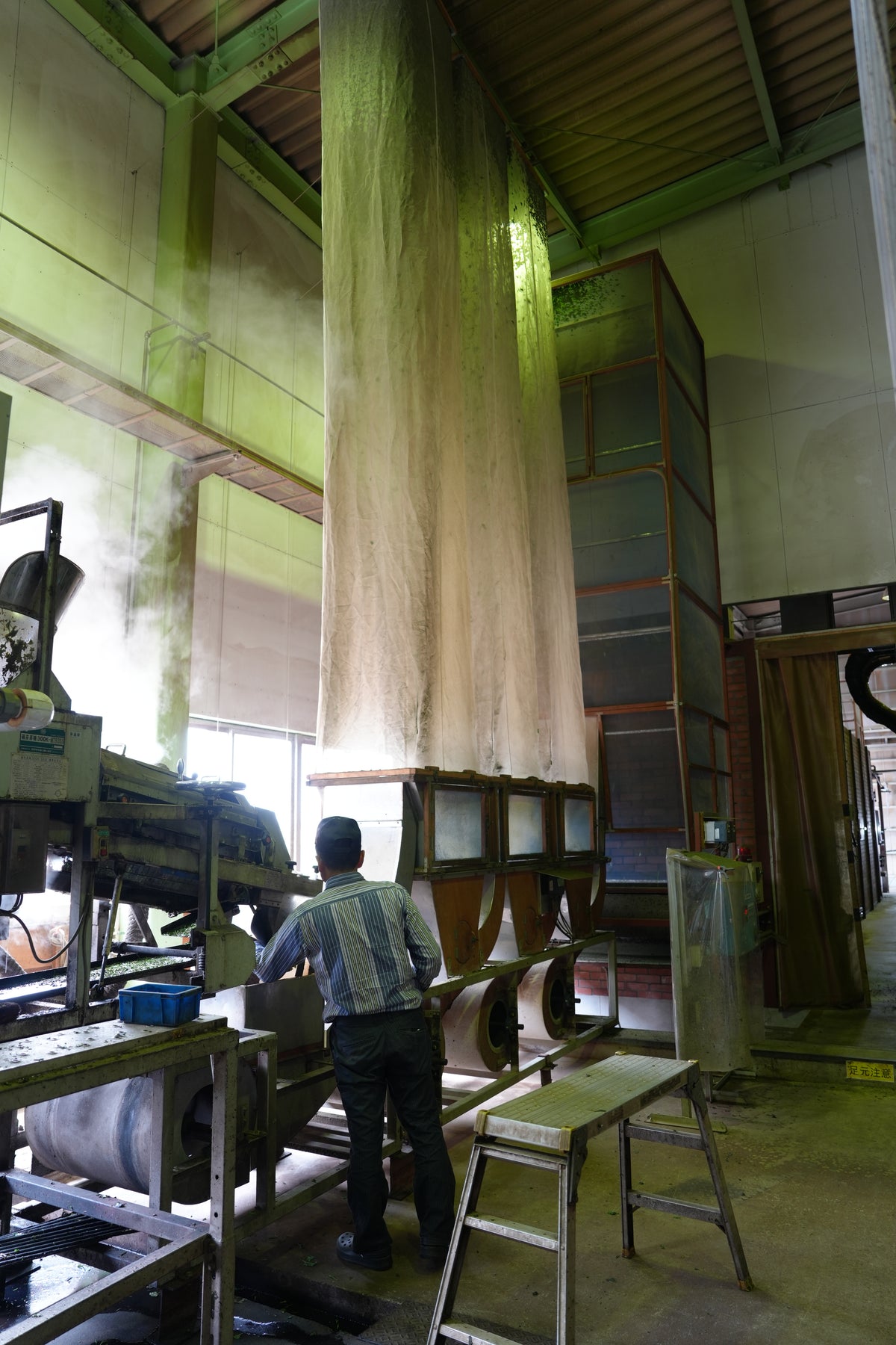 Leaves moving through tea processing equipment