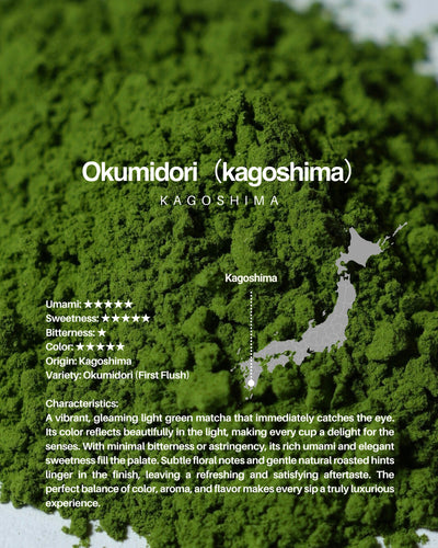 Okumidori（kagoshima） / sample 20g