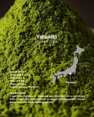 Yabukita / sample 20g