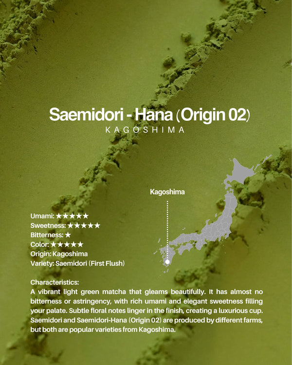 Saemidori - Hana (Origin 02) / sample 20g