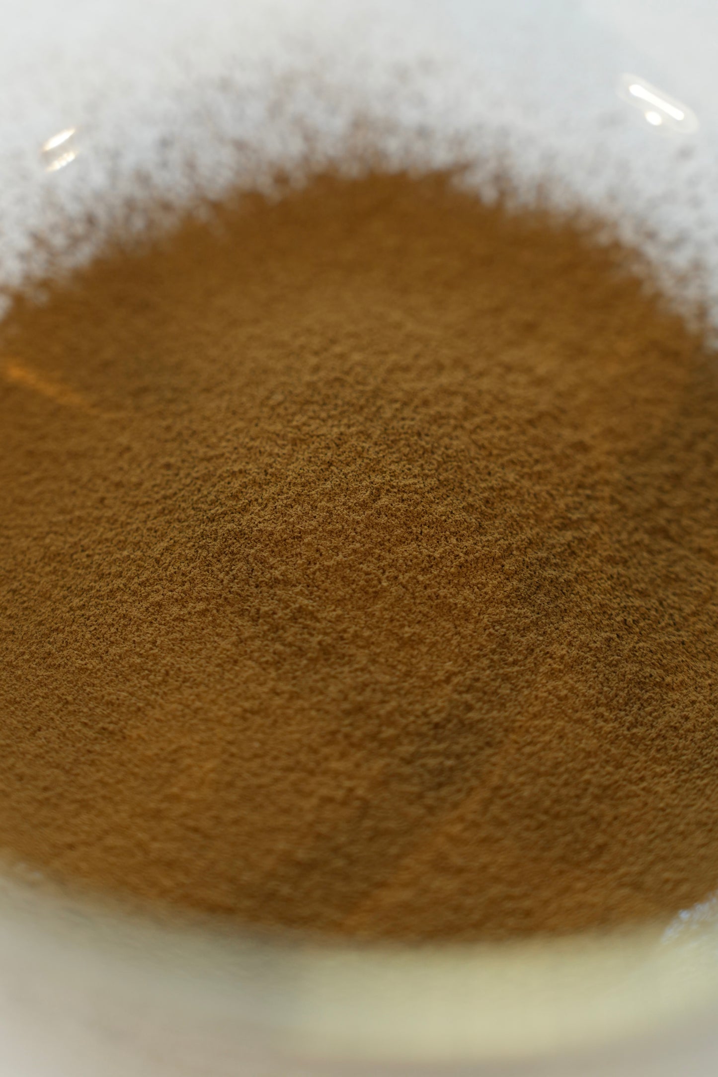 organic hojicha S / sample 20g