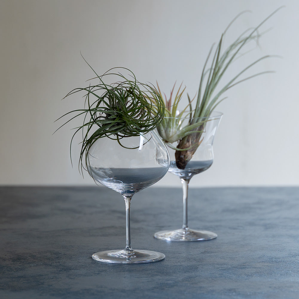 Eisa 009 Cocktail Glass – 220 ml – photo 3