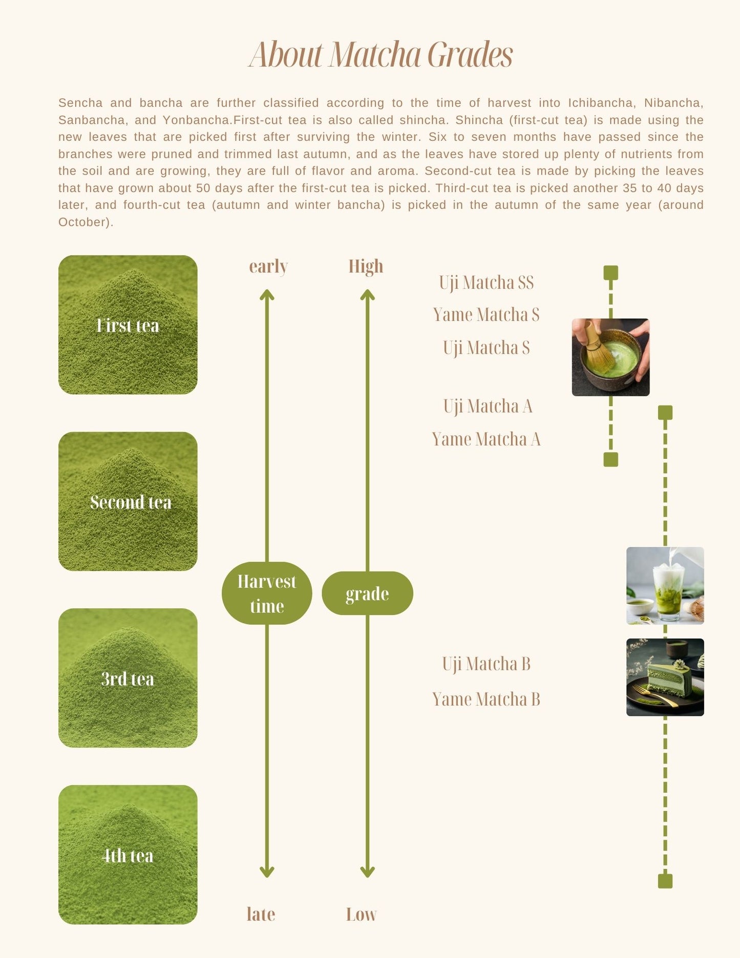 Yame Matcha B / sample 20g