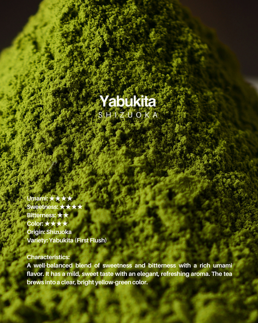 Yabukita / 1kg sample