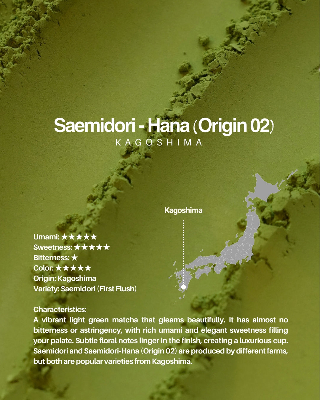 MIYAKO Matcha Selection 10 – 20g × 10 Tasting Set