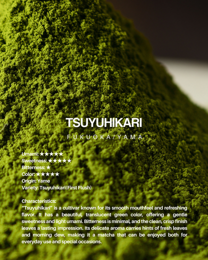 Tsuyuhikari (Yame) / Muestra de 1 kg