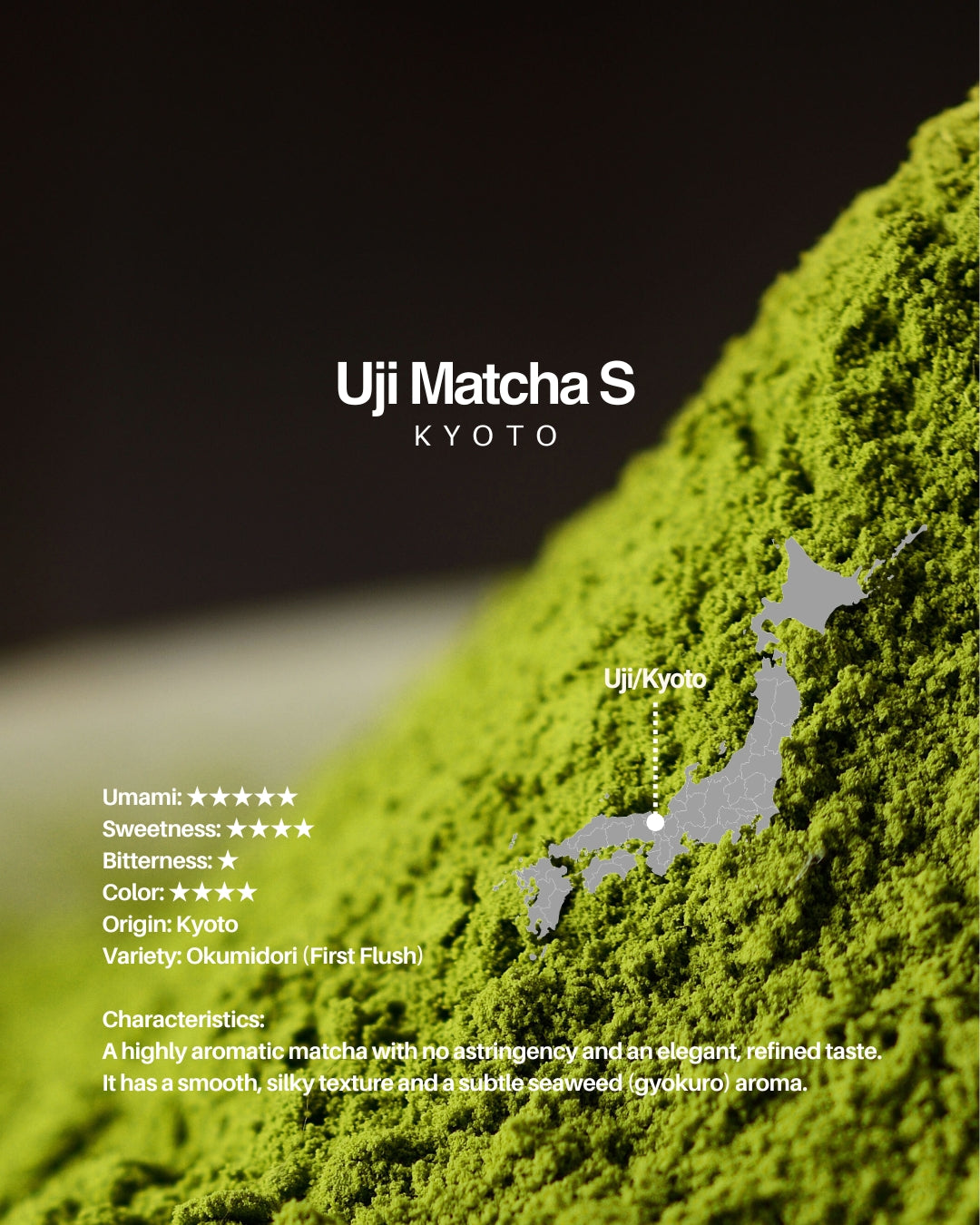 MIYAKO Matcha Selection 10 – 20g × 10 Tasting Set