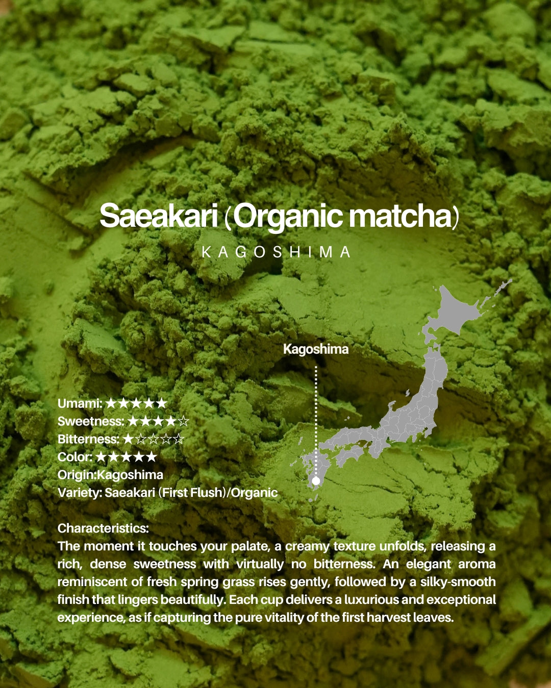 Saeakari (Organic matcha) / 1kg sample