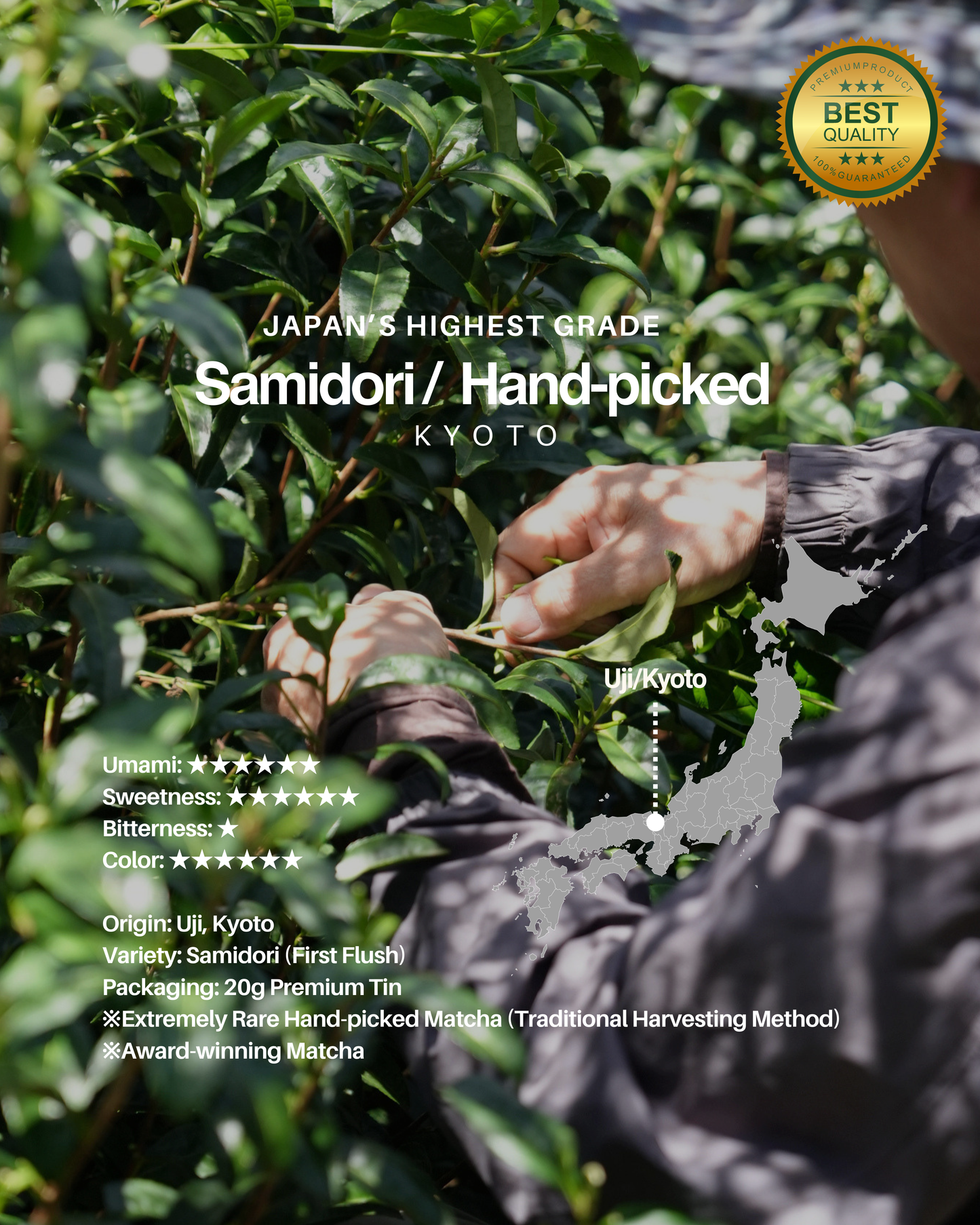 Samidori (Uji) /  Hand-picked Uji Matcha  / 20g tin
