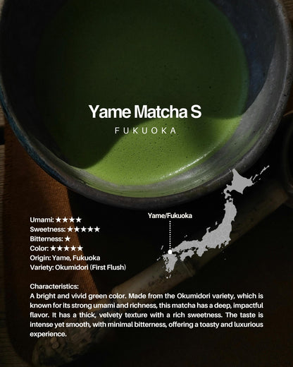Selección de Matcha MIYAKO 10 – Set de degustación de 20g × 10