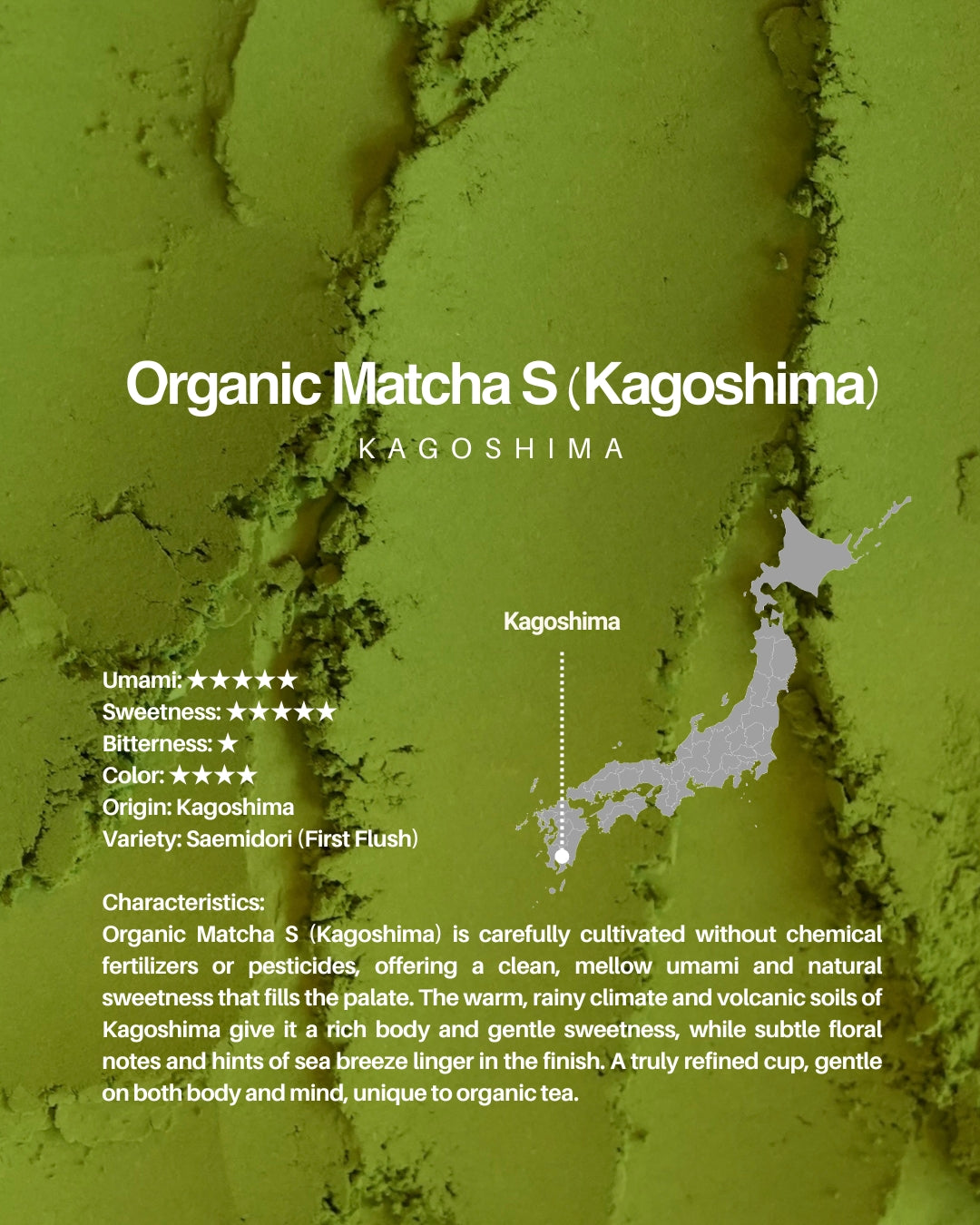 MIYAKO Matcha Selection 7 – 20g × 7 Tasting Set